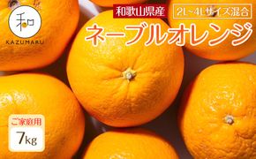家庭用 森本農園の手選別 大玉ネーブルオレンジ 約7kg 和歌山県産 2L~4Lサイズ混合 ［北海道・沖縄・離島配送不可］［2026年1月上旬から順次発送］［RN106］ 303446_DJ90106