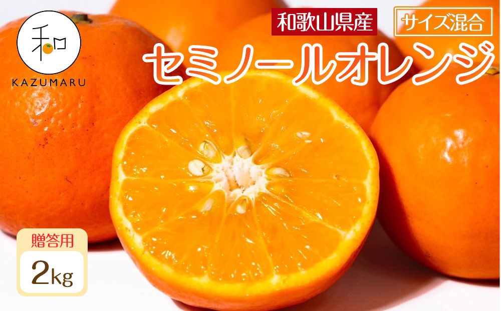 贈答用 森本農園の手選別 厳選セミノールオレンジ 約2kg 和歌山県産 サイズ混合 [北海道・沖縄・離島配送不可][2026年4月中旬から順次発送][RN110] 303446_DJ90110