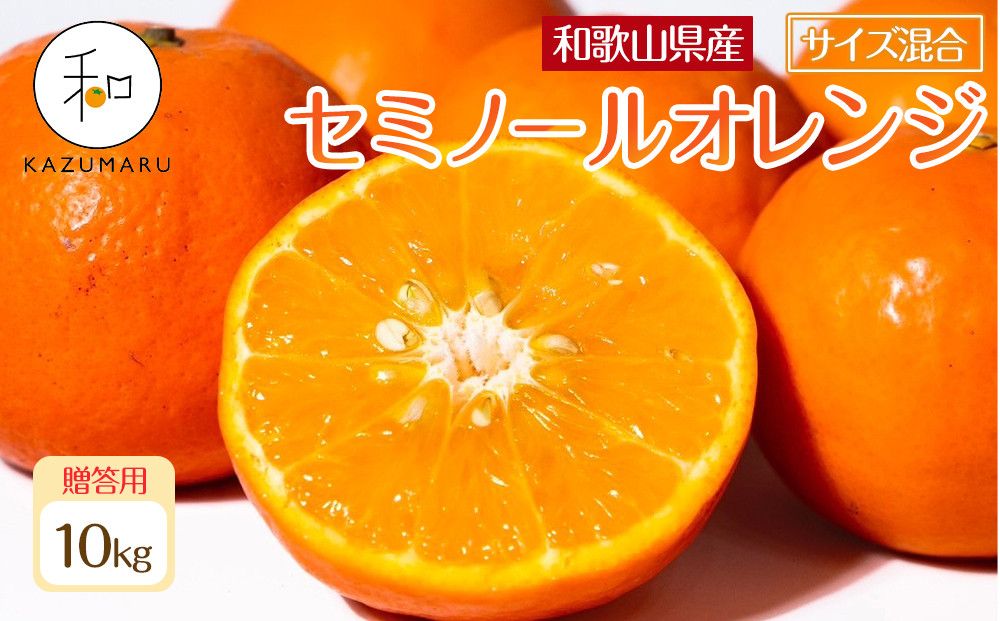 贈答用 森本農園の手選別 厳選セミノールオレンジ 約10kg 和歌山県産 サイズ混合 [北海道・沖縄・離島配送不可][2026年4月中旬から順次発送][RN112] 303446_DJ90112