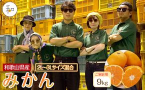 家庭用 森本農園の手選別 大玉みかん 約9kg 和歌山県産 2L・3Lサイズ混合 ［北海道・沖縄・離島配送不可］［2025年11月上旬から順次発送］［RN82］ 303446_DJ90082