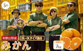 訳あり 森本農園の手選別 大玉みかん 約7kg 和歌山県産 2L・3Lサイズ混合 ［北海道・沖縄・離島配送不可］［2025年11月上旬から順次発送］［RN83］ 303446_DJ90083