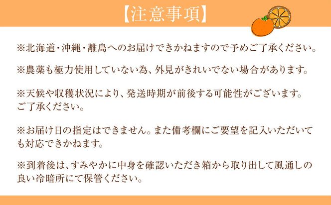 贈答用 森本農園の手選別 厳選みかん 約5kg 和歌山県産 2S~2Lサイズ混合 ［北海道・沖縄・離島配送不可］［2025年11月上旬から順次発送］［RN86］ 303446_DJ90086
