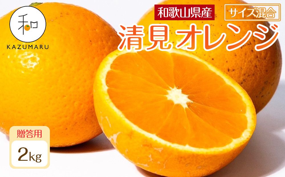 贈答用 森本農園の手選別 厳選清見オレンジ 約2kg 和歌山県産 サイズ混合 [北海道・沖縄・離島配送不可][2026年2月上旬から5月中旬頃順次発送予定][RN88] 303446_DJ90088