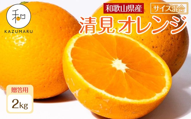 ya̎R쒬zp X{_̎I IIW 2kg a̎RY TCY mkCEEzsnm2026N2{5{\nmRN88n 303446_DJ90088