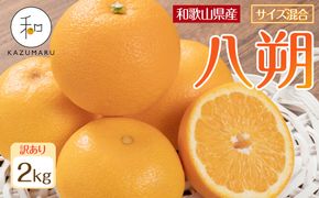 訳あり 森本農園の手選別 八朔 約2kg 和歌山県産 サイズ混合 ［北海道・沖縄・離島配送不可］［2026年1月中旬から2月中旬頃順次発送予定］［RN118］ 303446_DJ90118