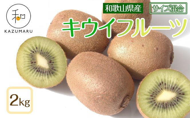 ya̎R쒬zX{_ LECt[c 2kg a̎RY TCY mkCEEzsnm2026N2{珇nmRN125n 303446_DJ90125