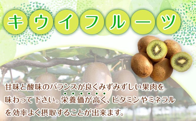 森本農園の キウイフルーツ 約5kg 和歌山県産 サイズ混合 ［北海道・沖縄・離島配送不可］［2026年2月上旬から順次発送］［RN127］ 303446_DJ90127