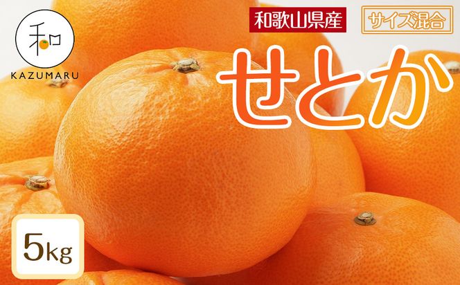 ya̎R쒬zX{_̎I Ƃ 5kg a̎RY TCY mkCEEzsnm2026N2{珇\nmRN131n 303446_DJ90131