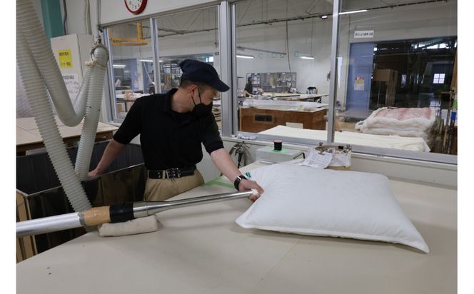 大判ゆったり ふわふわ枕 シルキーウォーム50×70センチ 322032_AG012