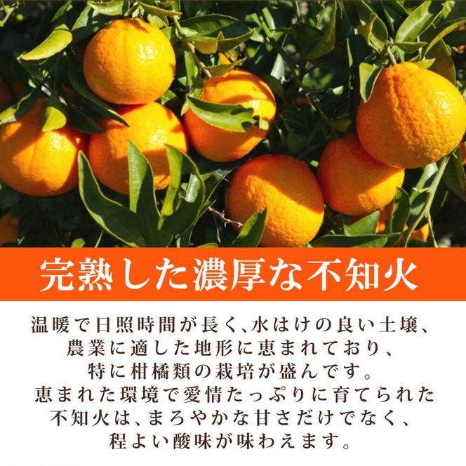 【2027年先行予約】紀州有田産 不知火 (しらぬひ) 2.5kg_G7108