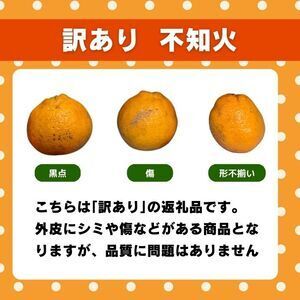 【先行予約】 訳あり 不知火 3kg  しらぬい かんきつ 柑橘 みかん 蜜柑 でこぽん おやつ きず 傷 ふぞろい 不揃いフルーツ 果物 くだもの 果実 愛媛県 愛南町 みかん職人武田屋