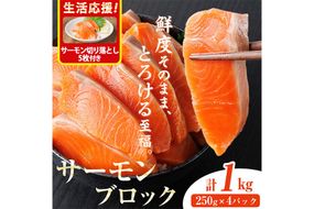 生活応援 サーモン切り落とし5枚付き！生食用 サーモン ブロック(計1kg・250g×4P) 鮭 小分け 真空 パック 冷凍 刺身 シャケ サケ 魚 魚介 【AW-100】【丸正水産】