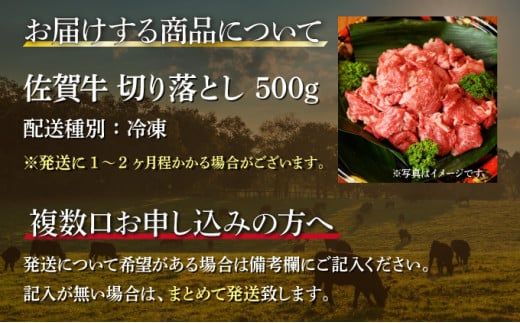 500g【佐賀牛】切り落とし B-1016