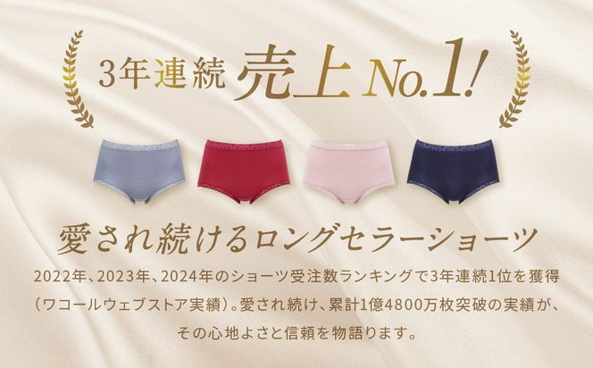 【ワコール】3年連続1位! 見た目スッキリ きれいに整うディアヒップ ショーツ《Lサイズ/カラー：GR》［ 京都 Wacoal ウイング 愛され続けるロングセラーショーツ 人気 おすすめ 有名 ブランド インナー 下着 肌着 レディース おしゃれ お取り寄せ 通販 送料無料 ふるさと納税 ］ 261009_A-YT001VC05