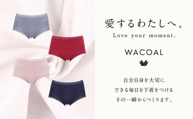 【ワコール】3年連続1位! 見た目スッキリ きれいに整うディアヒップ ショーツ LLサイズ《カラー:GR》［ 京都 Wacoal ウイング 愛され続けるロングセラーショーツ 人気 おすすめ 有名 ブランド インナー 下着 肌着 レディース おしゃれ お取り寄せ 通販 送料無料 ふるさと納税 ］ 261009_A-YT002VC01