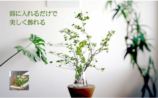 674.【月1回・12ヶ月定期便】旬をかざる枝もの定期便（年12回）＋初回ガラスベース付き 313726_BC031