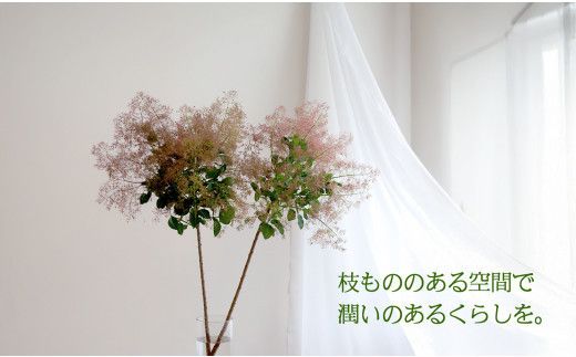 674.【月1回・12ヶ月定期便】旬をかざる枝もの定期便（年12回）＋初回ガラスベース付き 313726_BC031