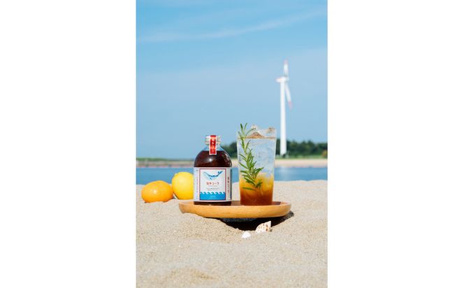 【テレビで紹介】愛知 知多 クラフトコーラ 240ml 3本 コーラ シロップ 飲料 ドリンク 炭酸割り ソーダ割り ミルク割り お酒 アイス アレンジ可能 相性抜群 愛知県産 レモン みかん 人気 おすすめ 大府市 232238_DJ002-PR