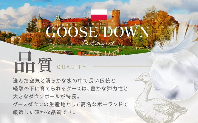 【大東寝具】～快眠のための最高級羽毛布団～ 大東寝具オリジナルプレミアム 冬用羽毛布団 オズゴ ポーランド産 ホワイトグースダウン95％ （コウダ種）（クイーン）［ 京都 寝具 老舗 布団 人気 おすすめ 快眠 寝ごこち 睡眠 健康 羽毛 グース ダウン 最高級 プレミアム お取り寄せ 通販 送料無料 ふるさと納税 ］ 261009_A-BM031
