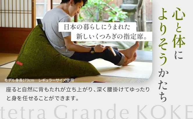 【大東寝具】tetra grande koke（ビッグサイズ）【ビーズクッション座椅子】［ 京都 寝具 老舗 クッション 人気 おすすめ くつろぎ 寝ごこち お取り寄せ 通販 送料無料 ふるさと納税 ］ 261009_A-BM041