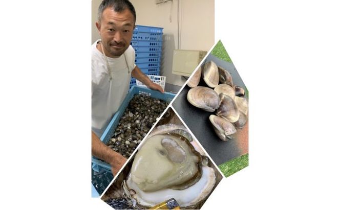 地元漁師が厳選！”天然蛤”ご注文時お勧めサイズお任せセット3kg入り 海鮮 魚介類 魚貝類 貝 はまぐり たっぷり 3kg 