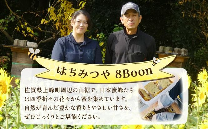 日本蜜蜂の純粋はちみつ 日本蜜蜂の純粋はちみつ 500g×1 蜜蝋100g付