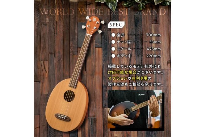 ヤイリギター　一五一会　奏生（アコースティックギター）【0025-001】