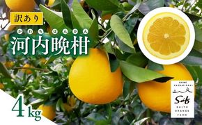 【先行予約】Saito Orange Farmの訳あり河内晩柑4kg ｜ 柑橘 みかん ミカン フルーツ 果物 愛媛　※離島への配送不可　※2025年6月上旬頃より順次発送予定