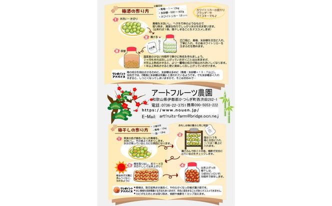 ［梅干・梅酒用］大玉4Lサイズ約10kg熟南高 生梅 ＜2027年6月上旬～7月中旬発送予定＞［ART22］ 303446_XL27