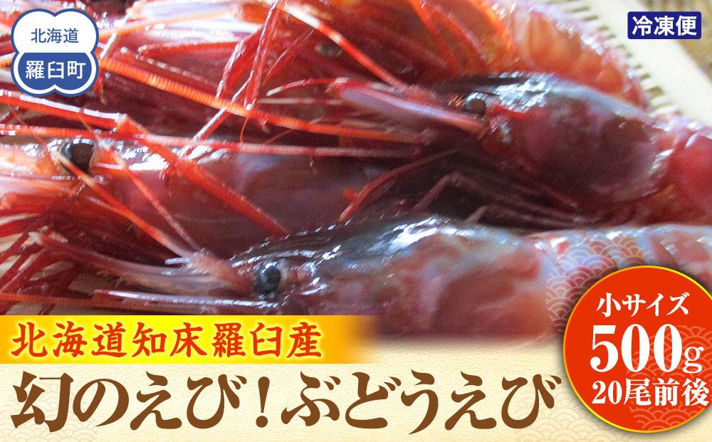 幻のぶどうえび(小・500g /20尾前後) エビ 海老 刺身 海鮮 羅臼町 北海道 海産物 魚介 魚介類 生産者 支援 応援 016942