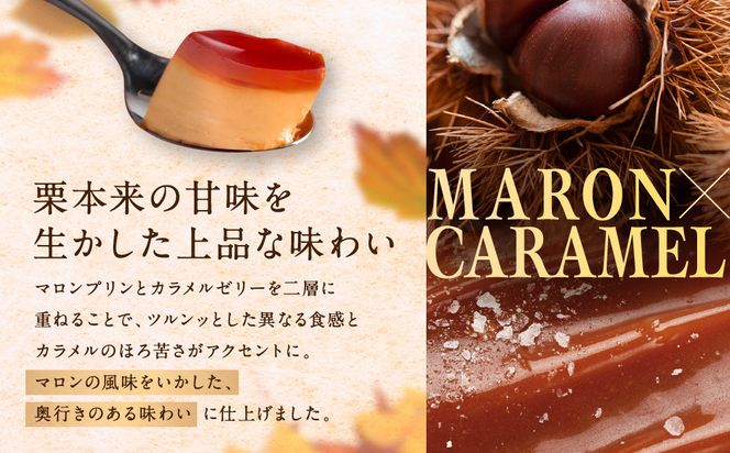 【銀座千疋屋】銀座マロンプリン6個入PGS-052N［ 1894年創業 果物専門店 人気 おすすめ ギフト プレゼント 贈答 お菓子 スイーツ 栗 お取り寄せ 通販 東京 銀座 ふるさと納税 ］  261009_B-QP04