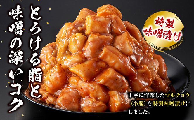 ＜訳アリ＞牛マルチョウ　特製味噌漬け　0.9kg(300g×3）【12月発送】 【kw0096-0038-12】