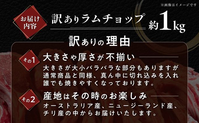 カネカン竹内　訳ありラムチョップ（ニュージーランド・オーストラリア・チリ産）約1kg MROA065