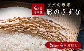 天水の恵米「彩のきずな」20kg（5kg×4回のお届け） お米 4回便