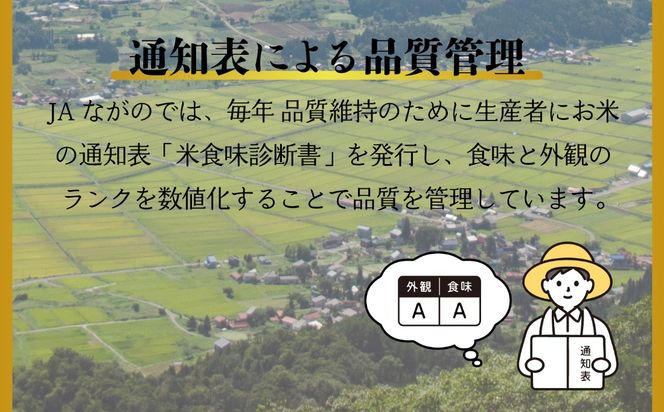  【令和7年産】北信州みゆき 幻の米 コシヒカリ 精米 5kg （5kg×1袋）(7-73A)