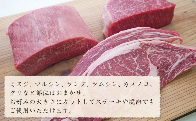 淡路牛 希少部位ブロック 約500g　　[ローストビーフ 牛肉 冷凍 国産牛 人気]