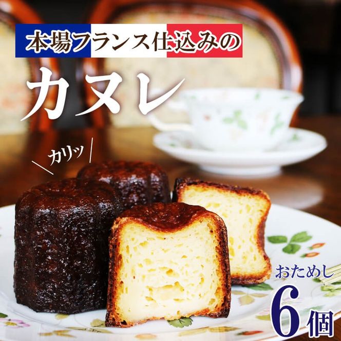 y茧DnszJk 6 mَq َq  Ăَq XC[c Ⓚ J a LO  蕨 yY Mtg v[g a 茧 Dns mantenne004n