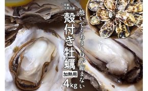 京都・久美浜産　殻付き牡蠣　4kg（40個前後）【加熱用】牡蠣ナイフ付　MN00066