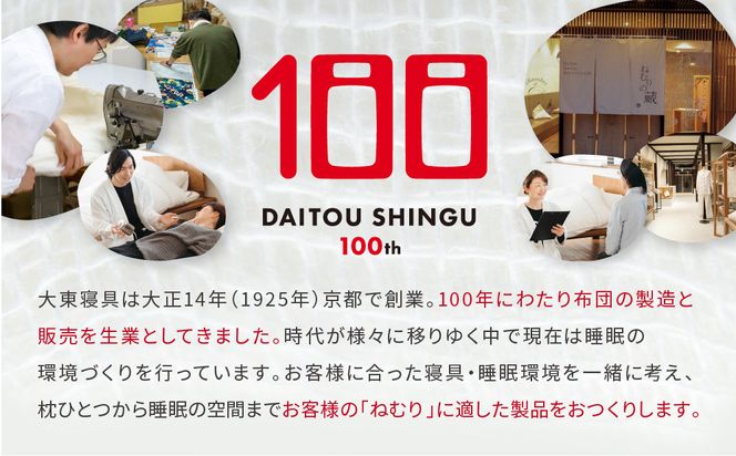 【大東寝具】tetra 8号帆布（ビッグサイズ）【ビーズクッション座椅子】（こげ茶）［ 京都 寝具 老舗 クッション 人気 おすすめ くつろぎ 寝ごこち お取り寄せ 通販 送料無料 ふるさと納税 ］ 261009_A-BM042VC009