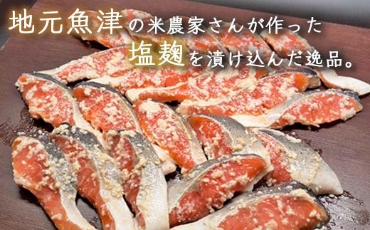 トラウトサーモン塩麹漬け　20切 ※北海道・沖縄・離島への配送不可