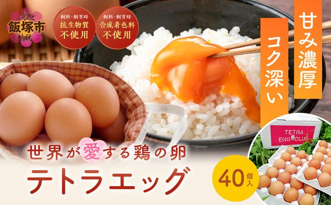 【A5-459】テトラエッグ40個入