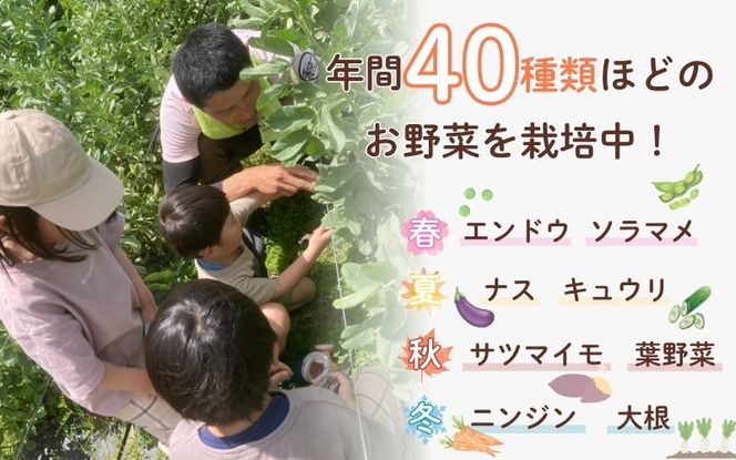 農園はなうた お野菜収穫体験券 5名様まで hnut0001