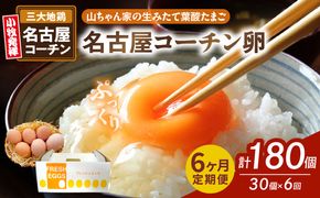 【6ヶ月定期便】【山ちゃん家の生みたて葉酸たまご】名古屋コーチン卵（30個入り）［132Y02-T］