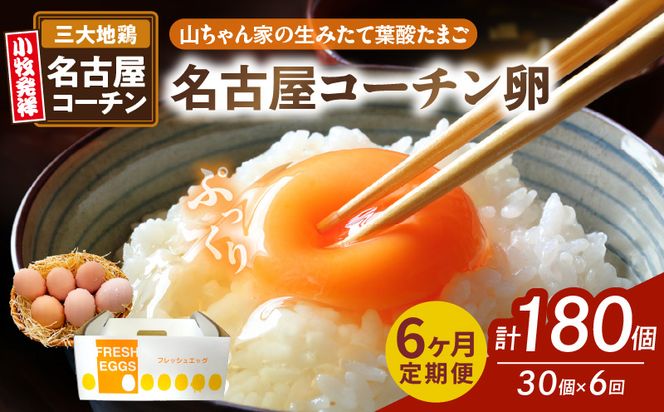 【6ヶ月定期便】【山ちゃん家の生みたて葉酸たまご】名古屋コーチン卵（30個入り）［132Y02-T］