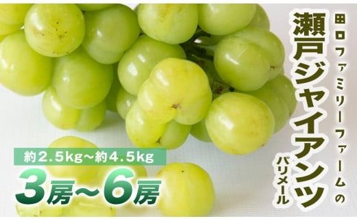 【田口ﾌｧﾐﾘｰﾌｧｰﾑ】パリメール(瀬戸ジャイアンツ)3房~6房(約2.5kg~約4.5kg) N053-YZD0142