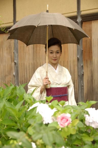 【日吉屋】ぱらそる(和風日傘) トンボ渦（グレー） 261009_B-AF03