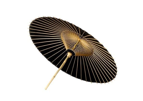 ys{sszygzIԎPij ꂠi^CvAEC) 261009_B-AF12