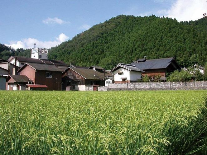 【羽田酒造】初日の出「蒼光」純米大吟醸（桐箱入） 261009_B-BV05