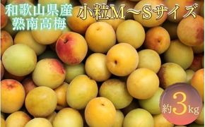 紀州和歌山県産 熟南高梅 生うめ 優品 約３kg (S、Mサイズおまかせ)+3%増量＜2027年6月下旬～7月上旬発送予定＞/ 梅干し 梅酒 ウメシロップ ジュース ジャム他 紀州熟南高梅 青梅 黄梅 朝採り フルーツ 果物 くだもの 食品 人気 おすすめ 【クール便送料無料】【art043】
