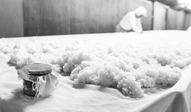 《美酒コンクール金賞》【玉乃光酒造】純米吟醸 青まねきつね・米焼酎まねきつね セット（化粧箱入り）［ 京都 伏見 日本酒 焼酎 お酒 飲み比べ 2本 人気 おすすめ お取り寄せ 通販 送料無料 ふるさと納税 ］  261009_B-DK02